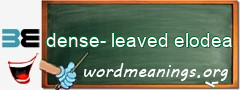 WordMeaning blackboard for dense-leaved elodea